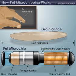 rfid chip implanted in dogs|Pet Microchips – How They Work .